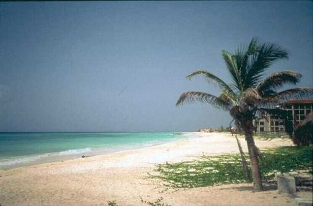 chandipur beach