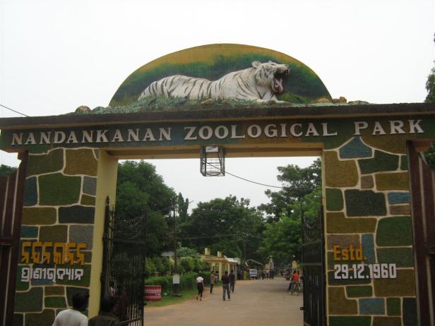 nandankana zoological park